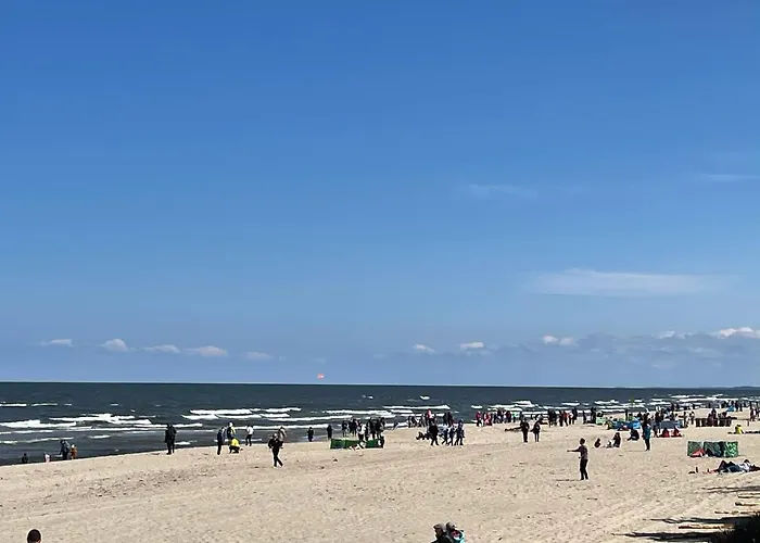 Lazurowa Fala-2021, Baltic Park 斯蒂格纳