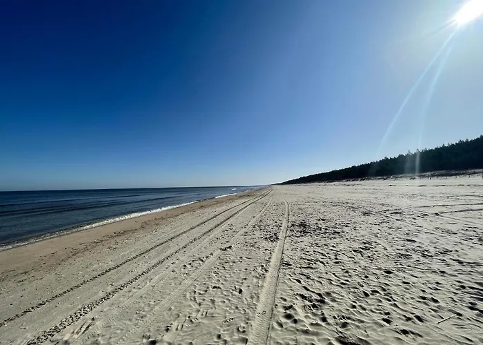 Lazurowa Fala-2021, Baltic Park * 斯蒂格纳