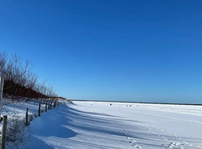 Lazurowa Fala-2021, Baltic Park *